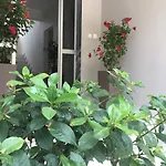 Phaethon & Διαμέρισμα Kallithea (Chalkidiki)