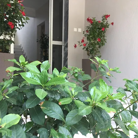 Phaethon & Apartman Kallithea (Chalkidiki)
