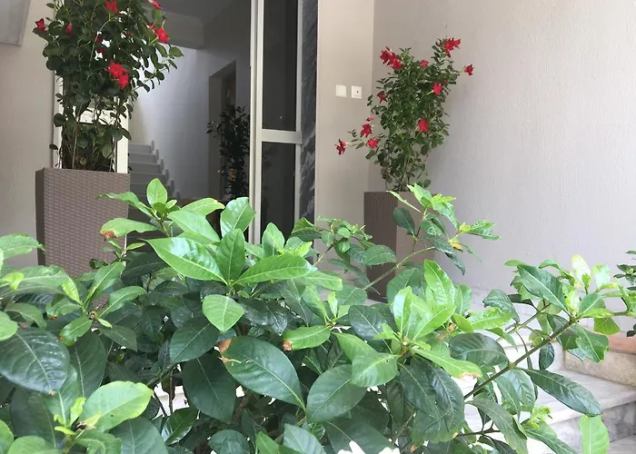 Phaethon & דירה Kallithea (Chalkidiki)